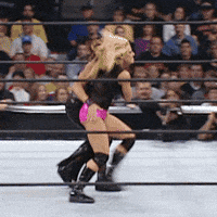 Survivor Series Bulldog GIF by Trish Stratus
