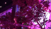 League Of Legends Lol GIF by G2 Esports