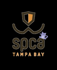 spcatampabay spca spca tampa bay spcatampabay spca largo GIF