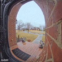 Doorbell Cam Captures Lightning Strike, Booming Thunder in Birmingham