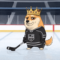 Ice Hockey Dog GIF by Doge Pound