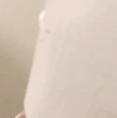 AussieNisi hi surprise bird boo GIF