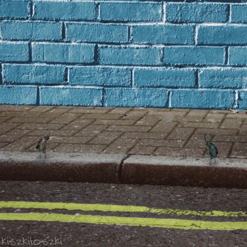 war love GIF by Kiszkiloszki