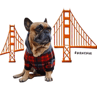 French Bulldog Sticker by frenchiepetsupply