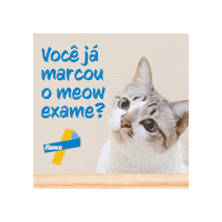 Gato Sticker by Elanco Brasil