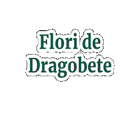 MagnoliaFlorarieOnline  Sticker