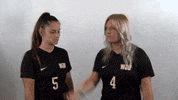 Wheeling University GIF by WU Cardinals