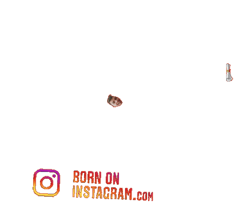 Lakshayboi Sticker by BORN ON INSTAGRAM