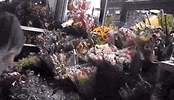 high highs to low lows GIF by Lolo Zouaï