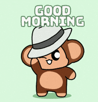 Good Morning Hello GIF by Chimpers
