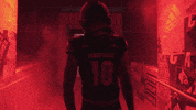 Celebrate Lets Go GIF by Louisville Cardinals