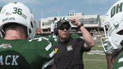 OhioBobcats football cats ncaa college football GIF