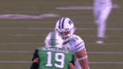 OhioBobcats football cats ncaa college football GIF