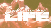 GIF by Spinnin' Records