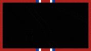 Ponyup Ponyupdallas GIF by SMU Basketball