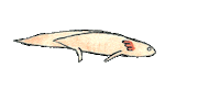 water swimming Sticker by Eddie James