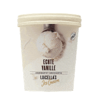 icecream vanilla Sticker by Luicella's Ice Cream