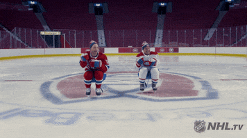ice hockey fist bump GIF by NHL