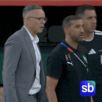 World Cup Sb GIF by Sporbulteni