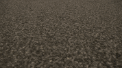 Formula 1 Sport GIF by Mercedes-AMG Petronas Formula One Team