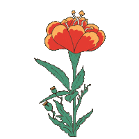 Austin Sticker by Bunkhouse Group