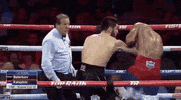toprank fight boxing fighting espn GIF