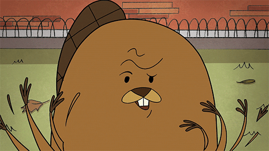 beaver no GIF by Cartoon Hangover