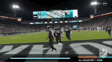 National Football League GIF by NFL