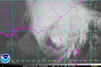 euronews usa weather florida hurricane GIF