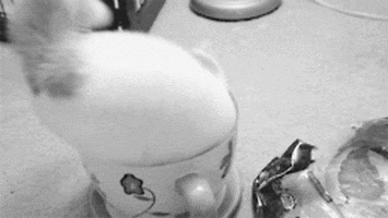 glasses talent GIF