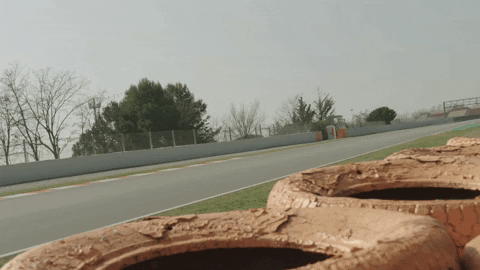 redbullracing giphyupload 2019 f1 mv GIF