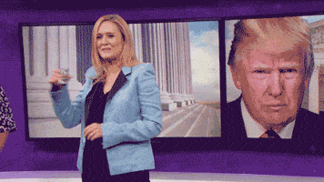 samantha bee comedy GIF