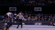 All Elite Wrestling GIF by AEWonTV