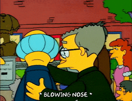 Sad Season 1 GIF by The Simpsons