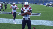 Black Panther Reaction GIF by New England Patriots