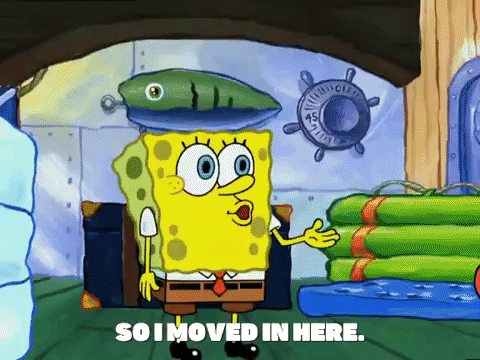 season 5 new digs GIF by SpongeBob SquarePants