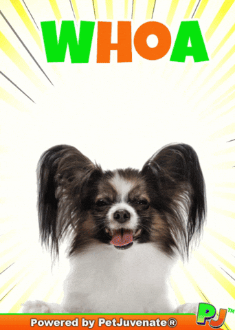 Henlo Hooman Fren GIF by PetJuvenate - PJ