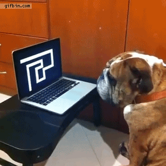 GIF by Demic