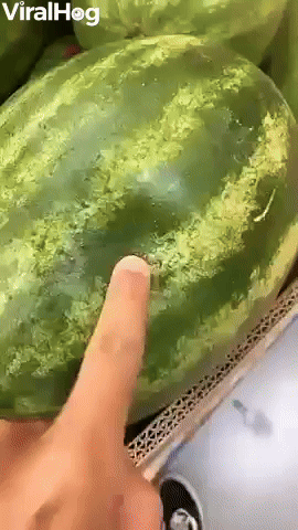 Poked Watermelon Squirts Juices