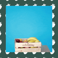 GIF by refruiting