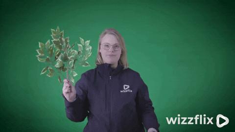 Wizzflix_ giphyupload dance party dancing GIF