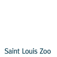 Christmas Snow Sticker by Saint Louis Zoo
