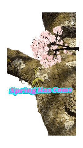 Spring Has Come Flower Sticker by KaoruHironaka