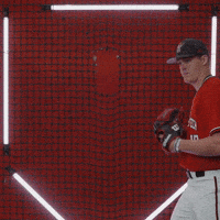 Jonny Lowe GIF by Texas Tech Baseball