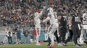 Cincinnati Bengals Football GIF by NFL