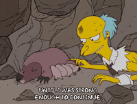 season 15 episode 22 GIF