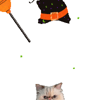 Halloween Night Cat Sticker