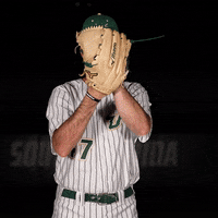 South Florida Baseball GIF by USF Athletics