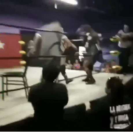 GifVif giphyupload what was that GIF