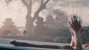 music video nick GIF by Jonas Brothers